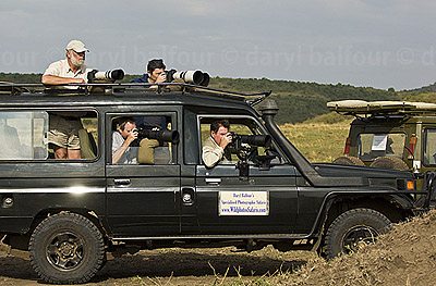 Safari